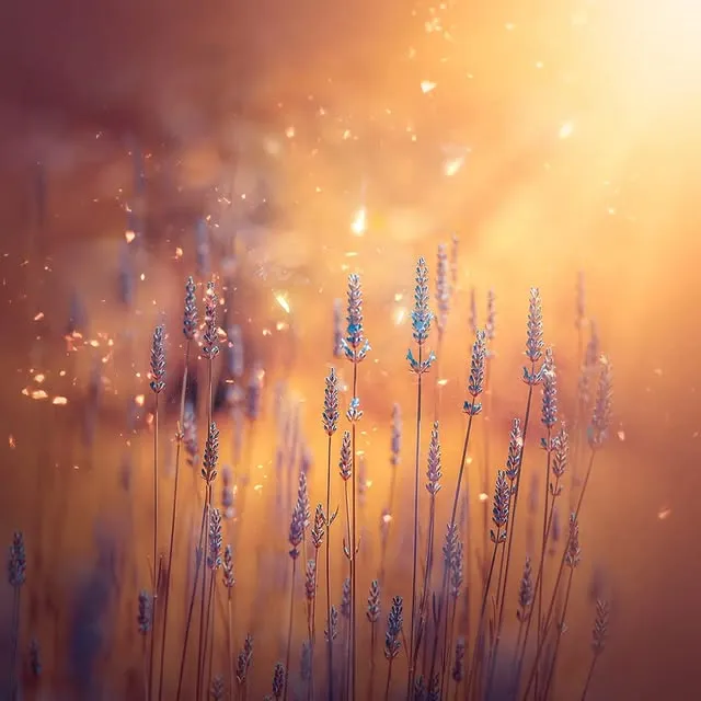 Lavender stems in golden backlight with floating sparkles of light